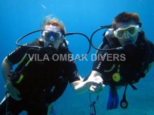 浪漫潜水员、介绍潜水